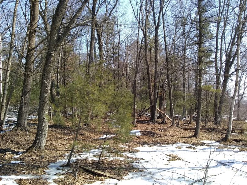 Img 20200308 123420662