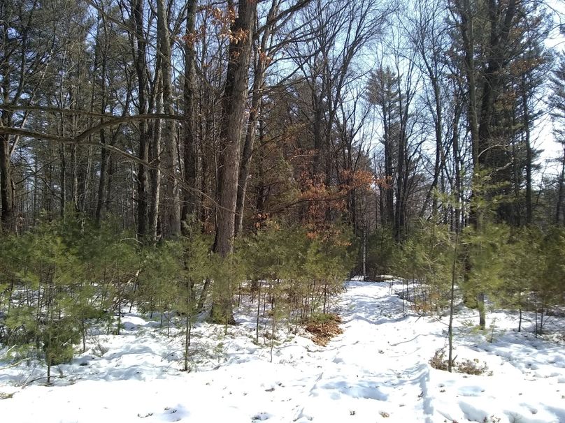 Img 20200308 123626568