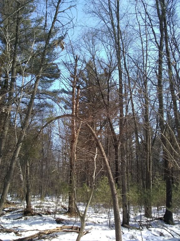 Img 20200308 123707873