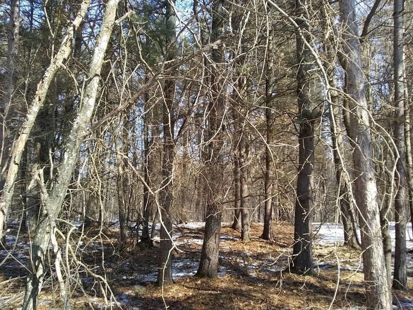 Img 20200308 123909922