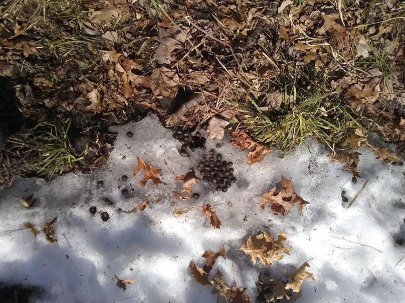 Img 20200308 123110595