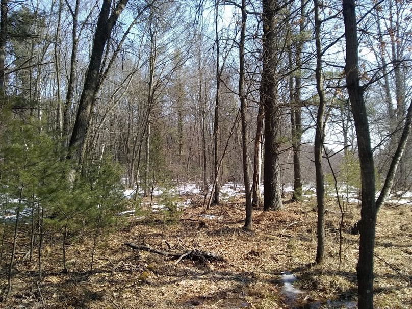 Img 20200308 123152872