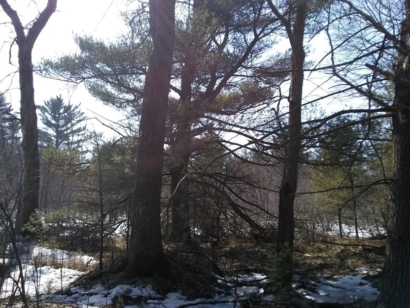 Img 20200308 123207369