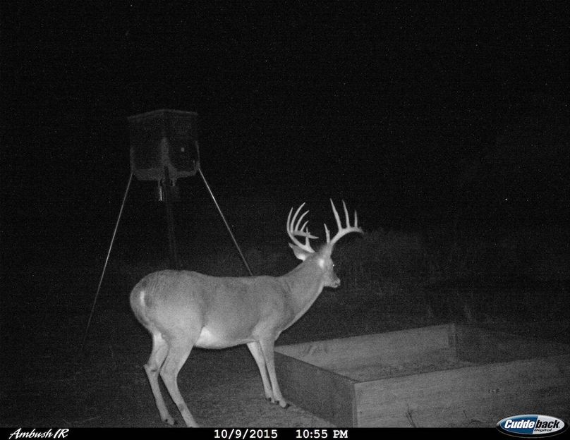 Shredder (2) - stand 1-2