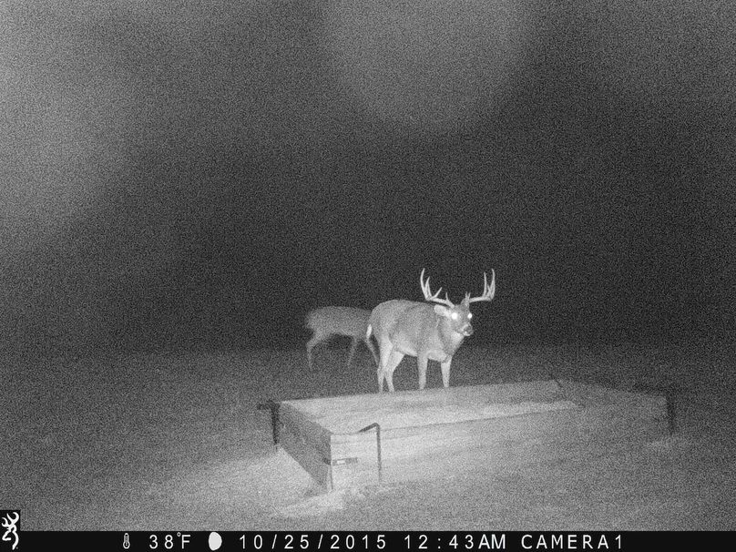 Splitter (2) - stand 2-2