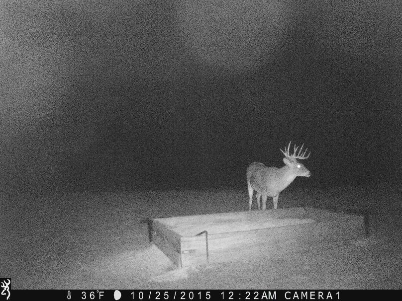 Splitter - stand 2-2