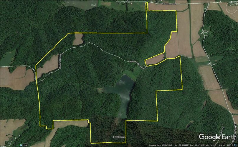 Seldom seen google 1