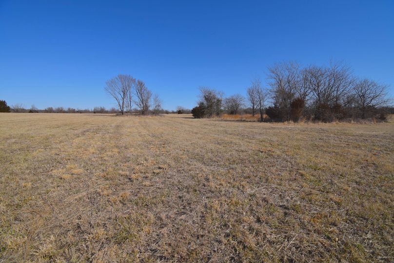 Washingtonok222-tract7-003