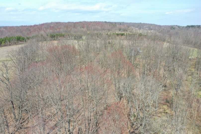 Chenango 88.55 catalano drone 1