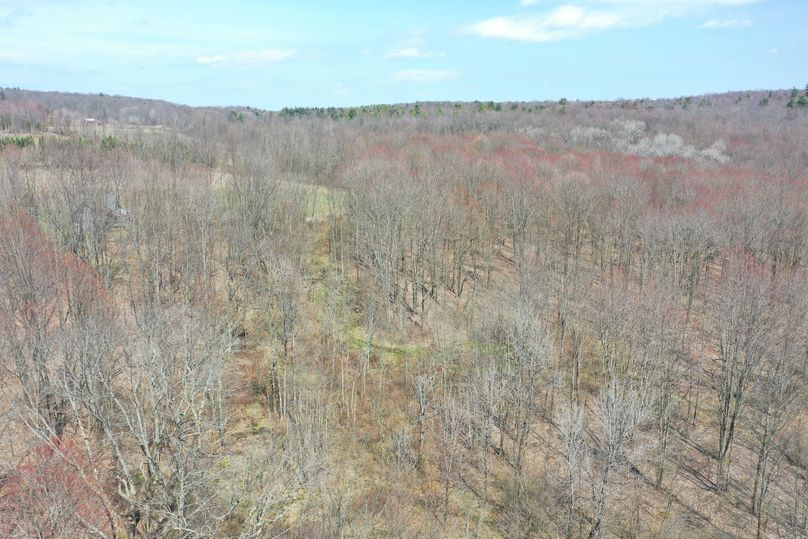 Chenango 88.55 catalano drone 2