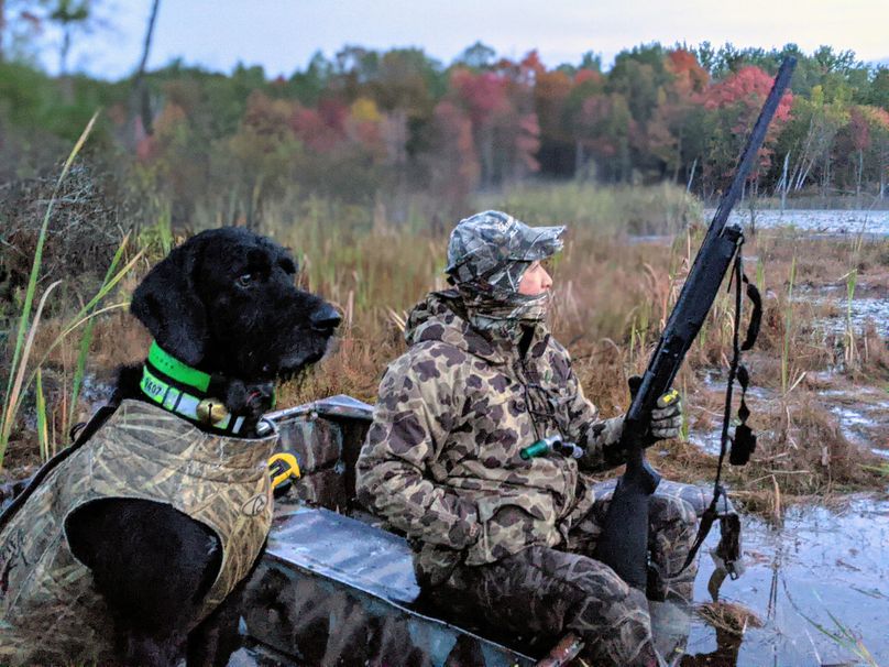 Pxl 20201003 111918274.portrait-01.cover