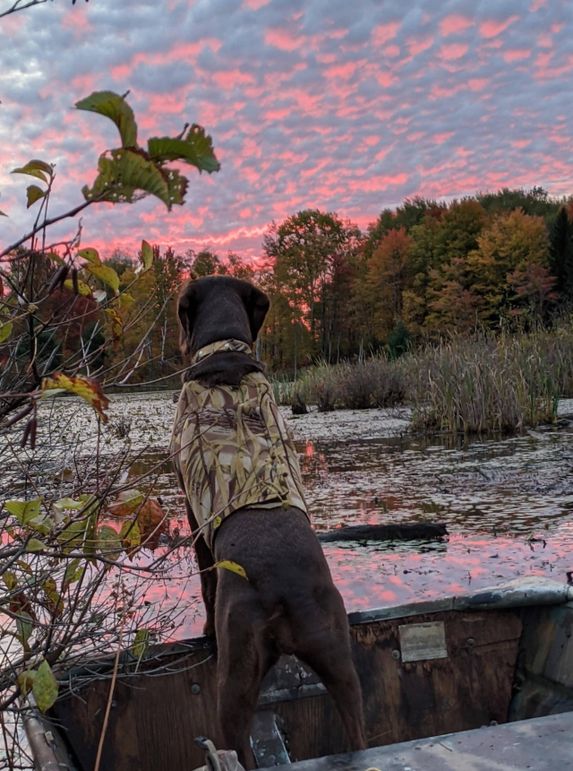 Pxl 20201009 114234211