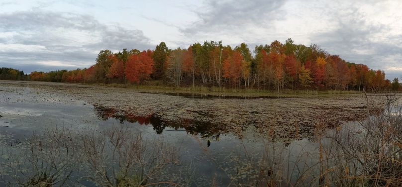 Pxl 20201009 120439231.pano