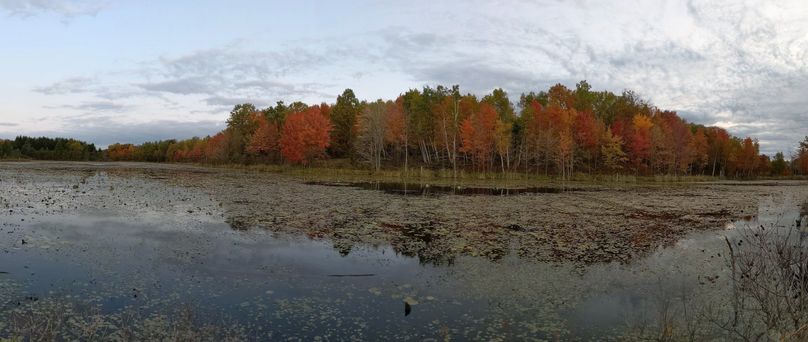 Pxl 20201009 123632462.pano