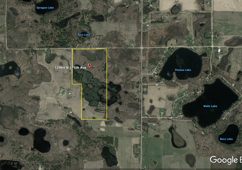 Screen shot 2020-03-18 at 3.36.27 pm