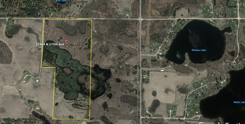 Screen shot 2020-03-18 at 3.37.20 pm