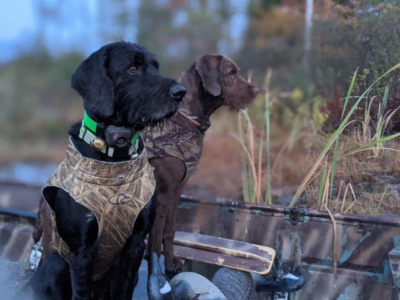 120764119 10216881806492671 8064291919966588751 n