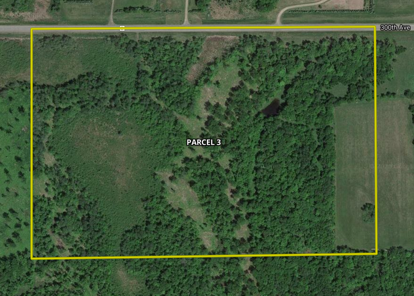 Screen shot 2020-03-11 at 7.42.20 pm