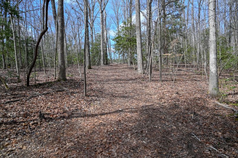 Lee co. nc 166 pics-45-2