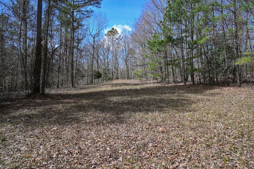 Lee co. nc 166 pics-47-2