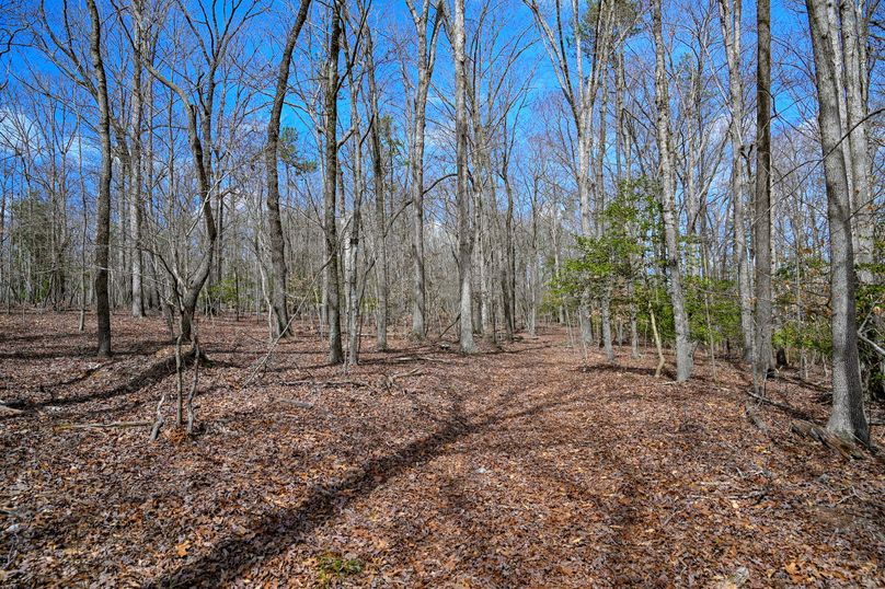 Lee co. nc 166 pics-48-2