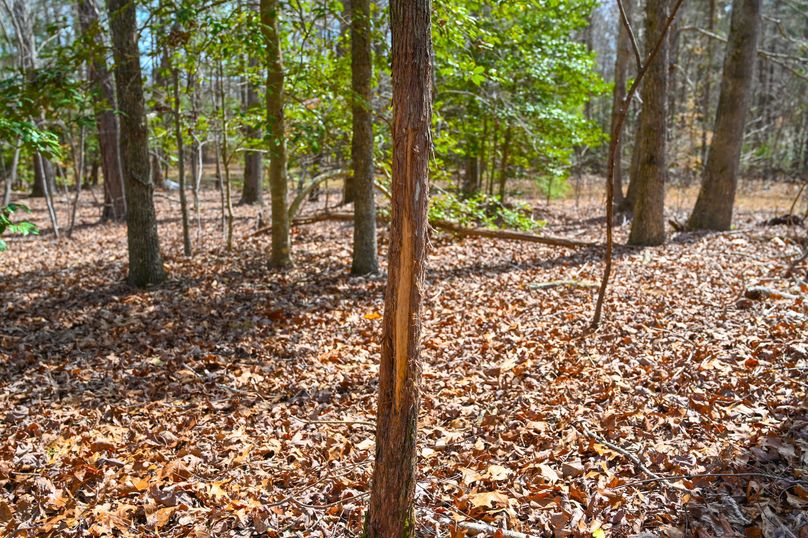 Lee co. nc 166 pics-50-2