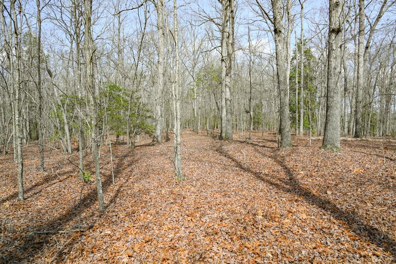 Lee co. nc 166 pics-51-2