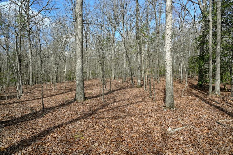 Lee co. nc 166 pics-52-2