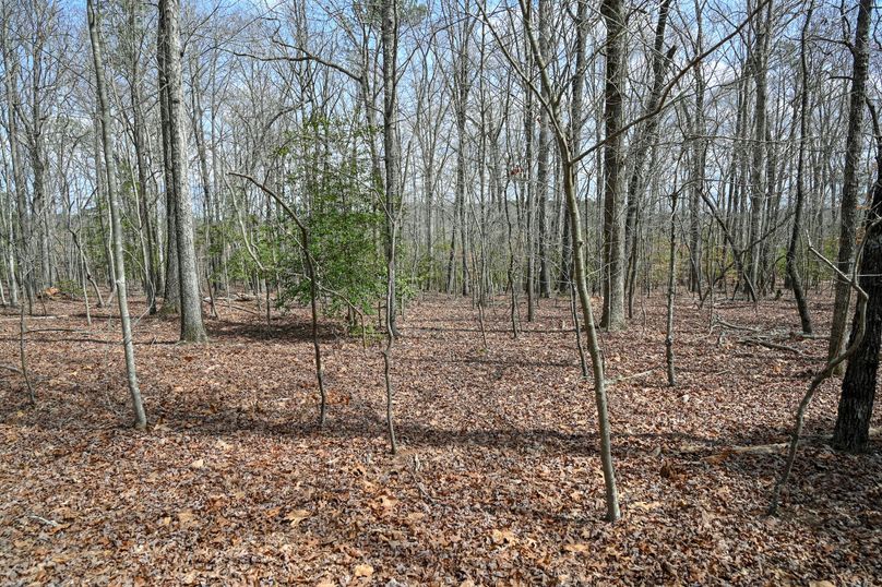 Lee co. nc 166 pics-53-2