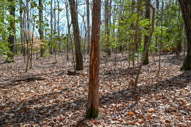 Lee co. nc 166 pics-54-2