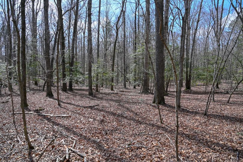 Lee co. nc 166 pics-55-2