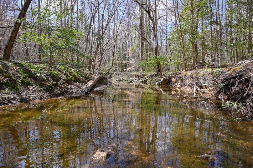 Lee co. nc 166 pics-56-2