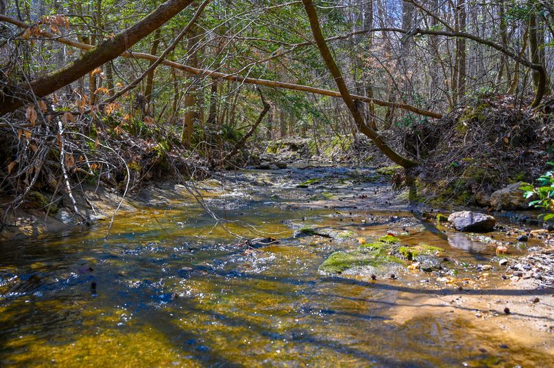 Lee co. nc 166 pics-58-2