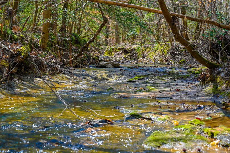 Lee co. nc 166 pics-59-2