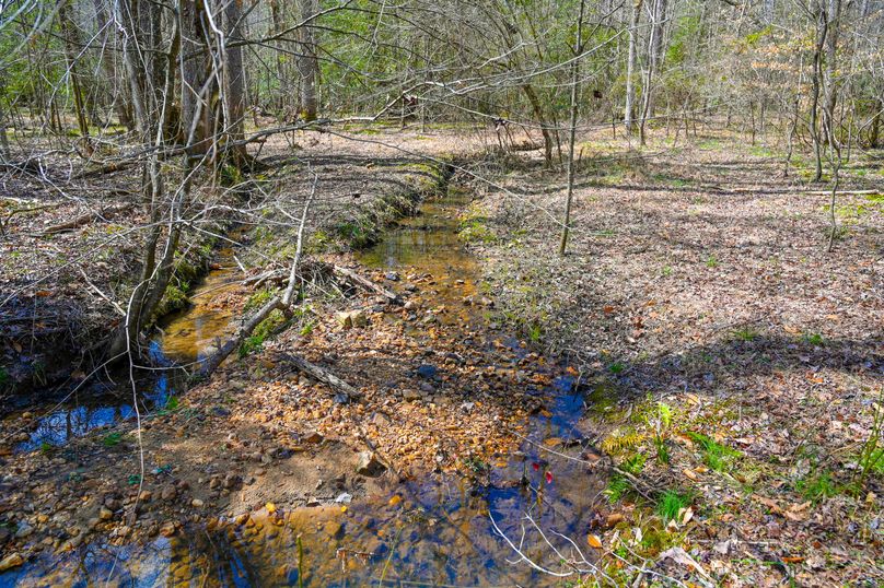 Lee co. nc 166 pics-60-2