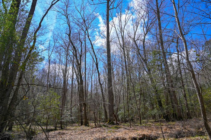 Lee co. nc 166 pics-61-2