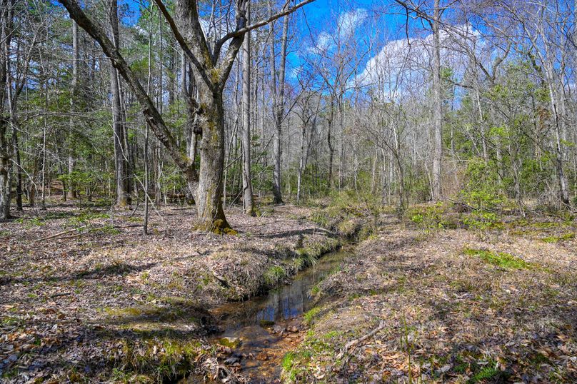 Lee co. nc 166 pics-62-2