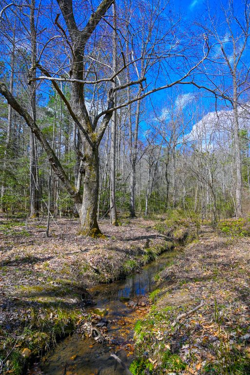 Lee co. nc 166 pics-63-2