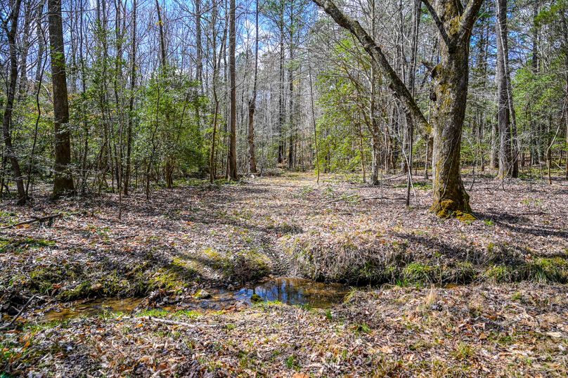 Lee co. nc 166 pics-64-2