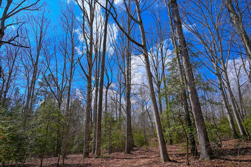 Lee co. nc 166 pics-65-2