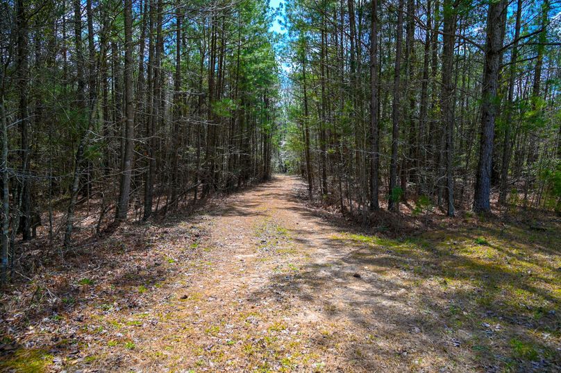 Lee co. nc 166 pics-66-2