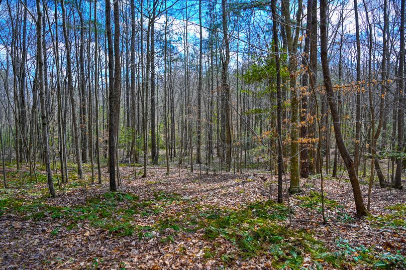 Lee co. nc 166 pics-70-2