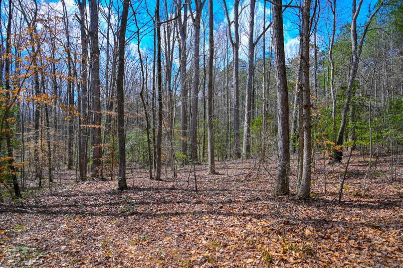 Lee co. nc 166 pics-71-2