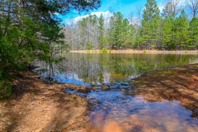 Lee co. nc 166 pics-72-2