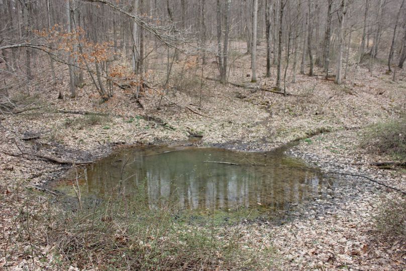 Runoff pond