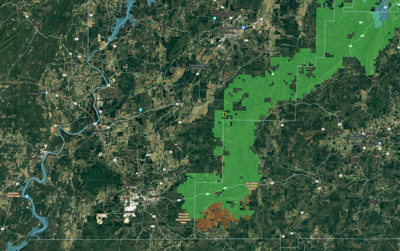 Screen shot 2020-03-12 at 10.12.06 am