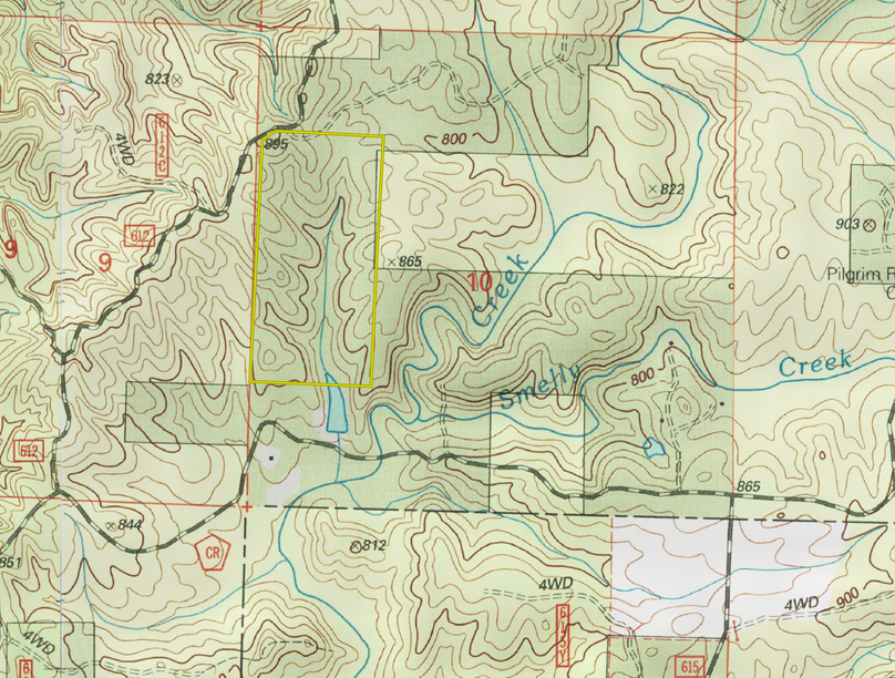 Screen shot 2020-03-12 at 10.16.50 am