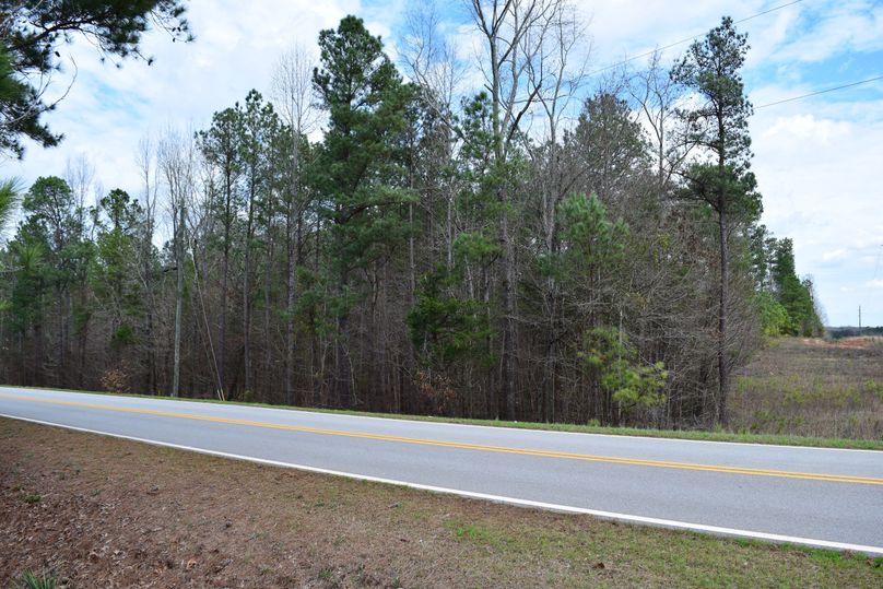 59 jones ferry road frontage