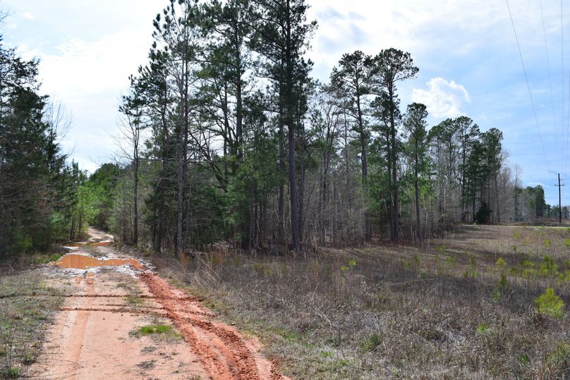 62 road entrance into property off jones ferry road