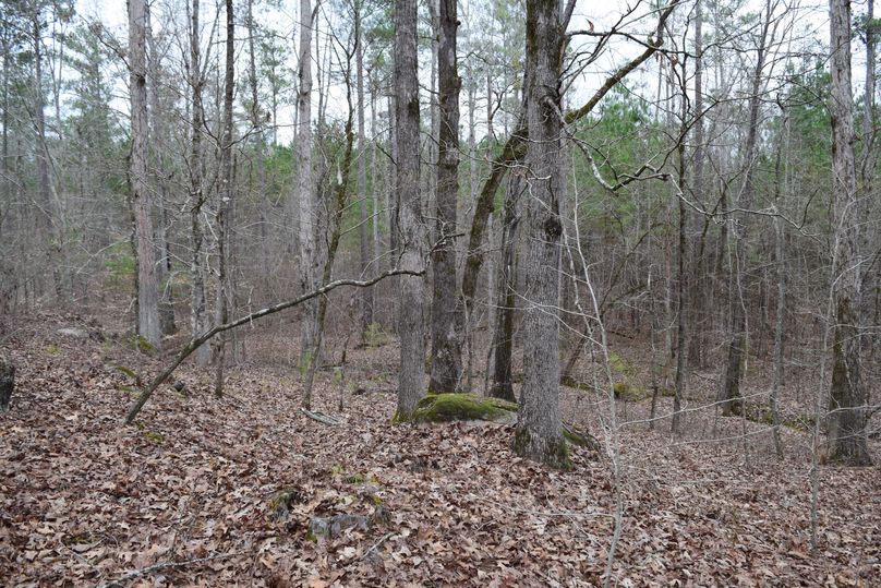 74 beautiful scenery